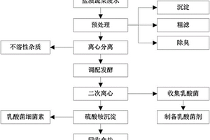利用盐渍蔬菜废水生产乳酸菌剂和细菌素的方法