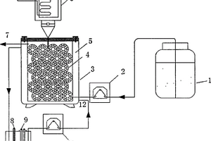 超声波强化厌氧氨氧化工艺启动效能的方法