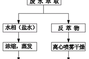 兼具H酸母液和T酸母液的处理工艺