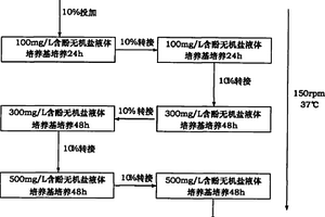 高效降酚嗜盐菌的制备及其应用