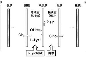 膜法制备L-赖氨酸的方法