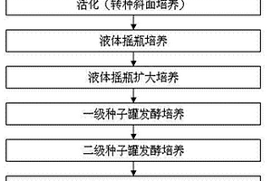 用生产淀粉产生的渣糟水制备灵芝菌丝体液的方法