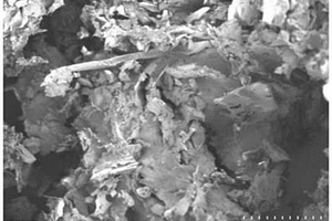 活性炭-Ag<Sub>2</Sub>O-CuO-Bi<Sub>2</Sub>O<Sub>3</Sub>吸附材料及其制备方法和应用
