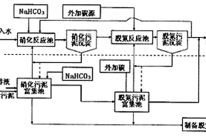 高氨氮浓度废水生化处理方法