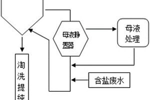 高盐高有机物废水的纯化制盐系统及方法