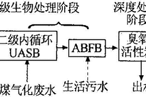 煤气化废水深度处理系统