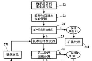 重金属废水零污泥资源化处理装置与回收方法