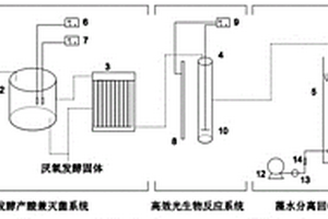 将农业废水中营养物转化为粗蛋白原料的生产方法和系统