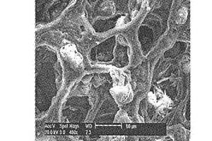 废水处理用可控降解的大孔纤维素微生物载体填料及制备