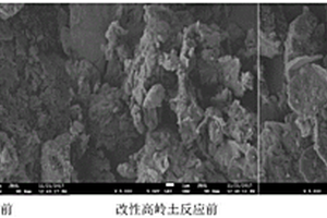 用于吸附石化废水的可再生利用的改性高岭土的制备方法