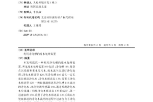 利用净化槽的废水处理装置