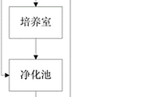 用于污水和废水处理的微生物处理装置