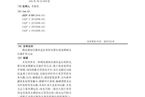 微波激励灯源状态自检的光催化废水降解反应器扩容方法