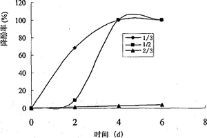 一株Diaphorobacter菌在焦化废水除酚中的应用