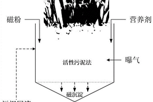 用于深度生物处理纳米级电子芯片废水的方法