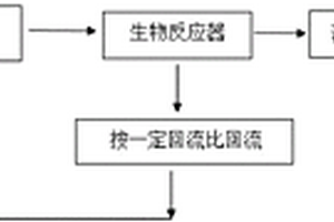 资源化处理城市废水的系统