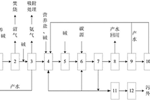 含DMF废水的零排放处理系统及其方法