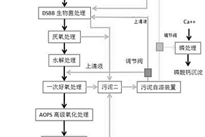 醇提取植物有效成份过程中的废水处理CNBB工艺及装备