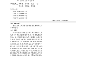自检团聚主诱因参数的光催化废水降解反应器扩容方法