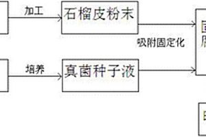 采用吸附固定化白腐真菌降解印染废水的方法