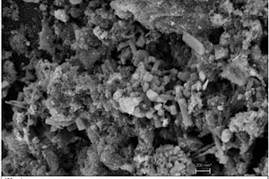 Sn–GAC粒子及其在三维电化学反应处理4‑氯酚废水中的应用