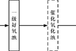 处理DCP废水的系统
