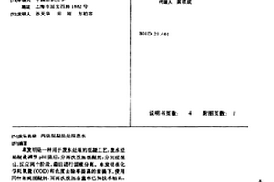 两级混凝法处理废水