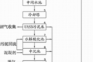 APMP制浆废水的处理装置