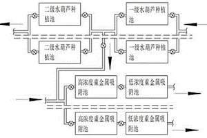 利用水葫芦去除废水中重金属的方法