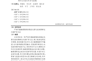 严密拦截触媒微粒的微波光催化废水降解反应器扩容方法