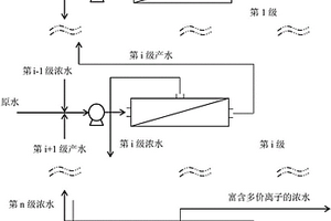 废水中多价离子的分离方法和系统