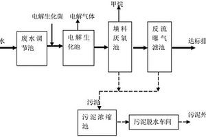 硝基酚废水处理装置