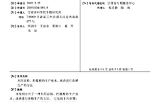 利用淀粉、柠檬酸的生产废水、废渣进行食醋生产的方法