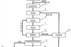 应用于景区的粪污废水处理系统及方法