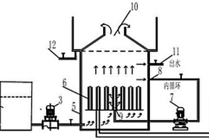 电化学高级氧化装置