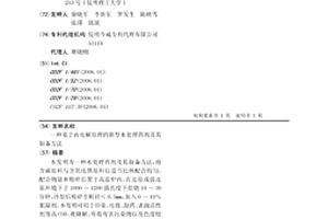 基于内电解原理的新型水处理药剂及其制备方法