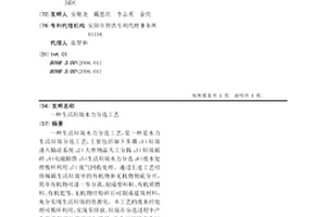 生活垃圾水力分选工艺