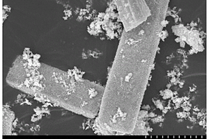 新型柱状Bi<Sub>2</Sub>MoO<Sub>6</Sub>光催化剂及其制备方法