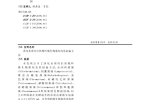 净化水质用自然循环微生物菌剂及其制备方法