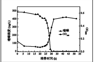 一株喹啉降解菌及其应用