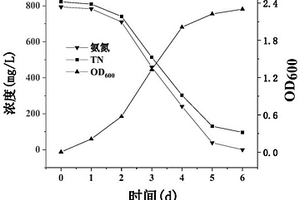 耐氨氮复合菌剂及其应用和制备方法