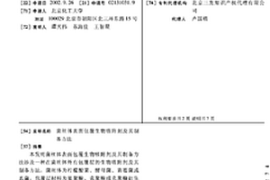 菌丝体表面包覆生物吸附剂及其制备方法
