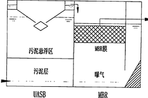 H.S.B.高效微生物技术及UASB+MBR工艺在粪便处理中的应用