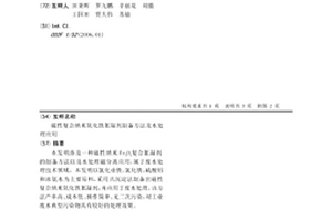 磁性复合纳米氧化铁絮凝剂制备方法及水处理应用