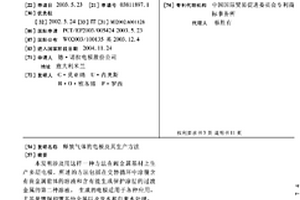 释放气体的电极及其生产方法