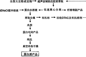 利用十二烷基三甲基氯化铵反胶束溶液提取大豆蛋白的方法