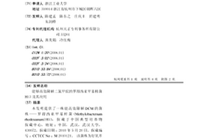 能够高效降解二氯甲烷的罗得西亚甲基杆菌H13及其应用