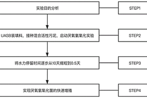 厌氧氨氧化菌快速增殖方法
