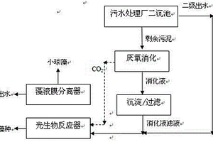 利用污泥厌氧消化液培养产油小球藻的方法