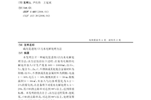 硫化促进剂CZ污水电解处理方法